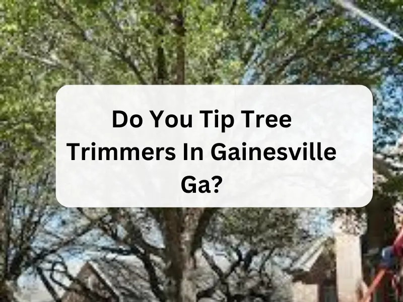 Do You Tip Tree Trimmers In Gainesville Ga