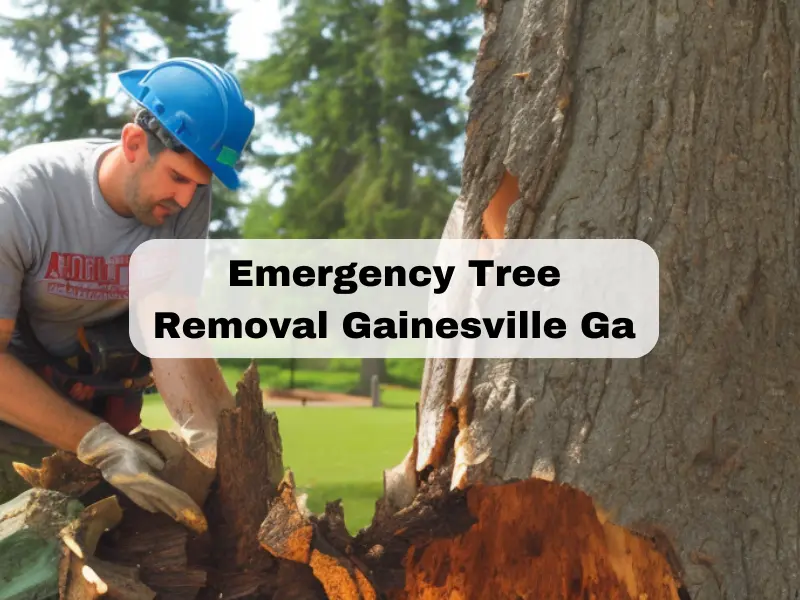 Emergency Tree Removal Gainesville Ga