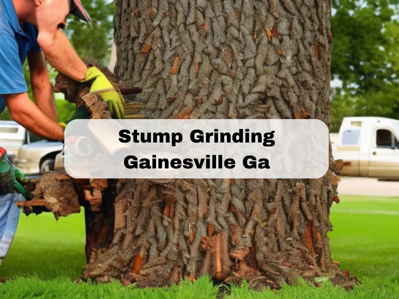 Stump Grinding Gainesville Ga
