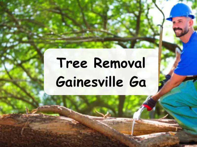 Tree Removal Gainesville Ga