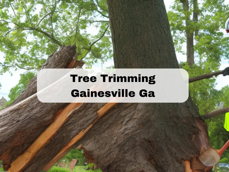 Tree Trimming Gainesville Ga