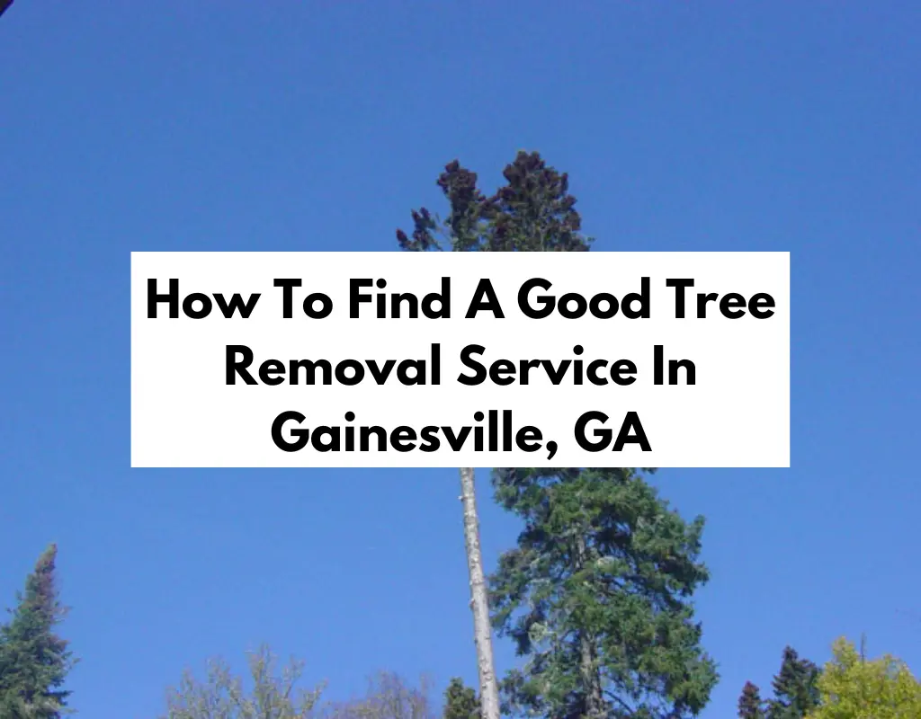 How To Find A Good Tree Removal Service In Gainesville GA