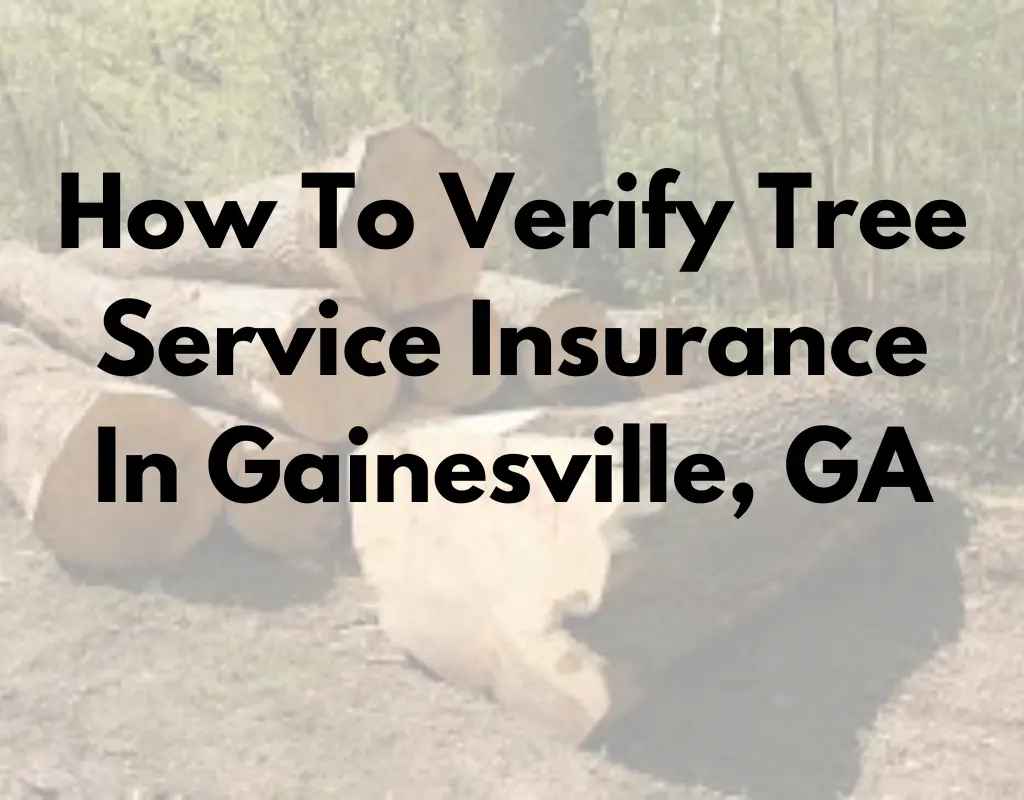 How To Verify Tree Service Insurance In Gainesville GA